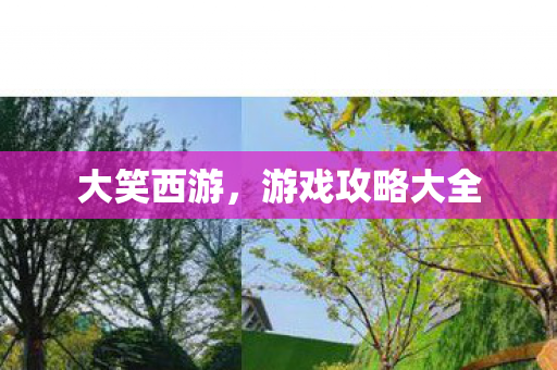 大笑西游,游戏攻略大全 大笑西游,游戏攻略大全