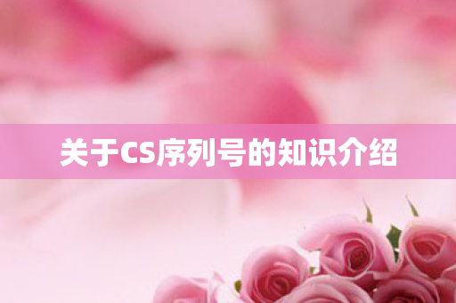 关于CS序列号的知识介绍 关于CS序列号的知识介绍