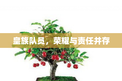皇族队员,荣耀与责任并存 皇族队员,荣耀与责任并存