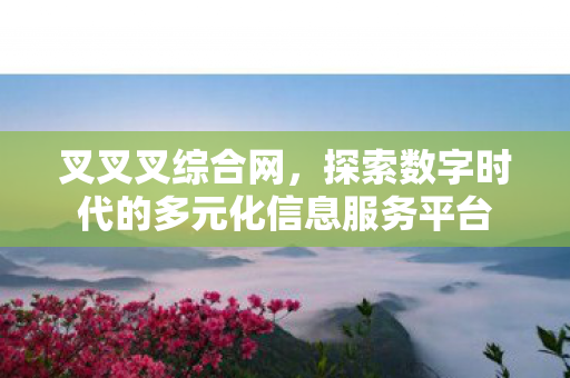 叉叉叉综合网，探索数字时代的多元化信息服务平台