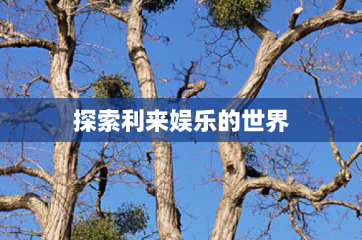探索利来娱乐的世界