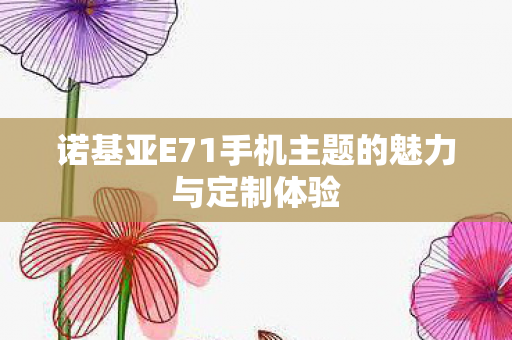 诺基亚E71手机主题的魅力与定制体验