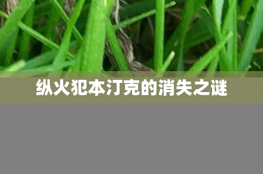 纵火犯本汀克的消失之谜 纵火犯本汀克的消失之谜