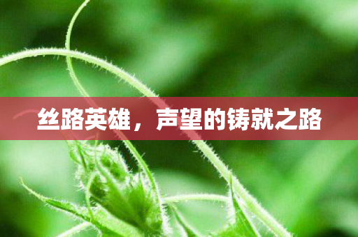 丝路英雄,声望的铸就之路 丝路英雄,声望的铸就之路