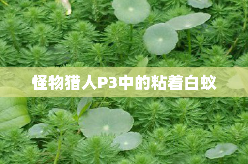 怪物猎人P3中的粘着白蚁