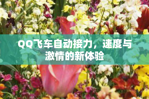 QQ飞车自动接力,速度与激情的新体验 QQ飞车自动接力,速度与激情的新体验