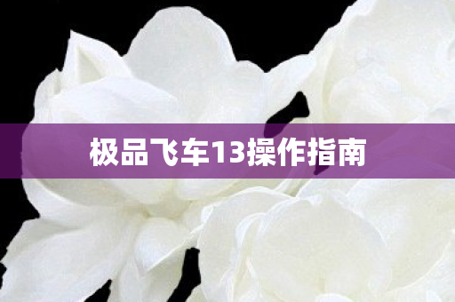 极品飞车13操作指南 极品飞车13操作指南