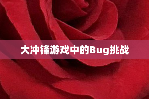 大冲锋游戏中的Bug挑战 大冲锋游戏中的Bug挑战