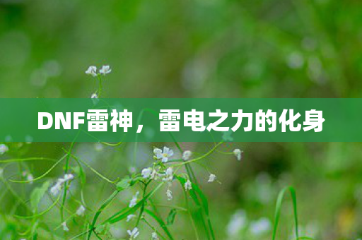 DNF雷神,雷电之力的化身 DNF雷神,雷电之力的化身