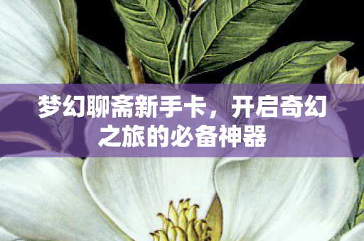 梦幻聊斋新手卡,开启奇幻之旅的必备神器 梦幻聊斋新手卡,开启奇幻之旅的必备神器