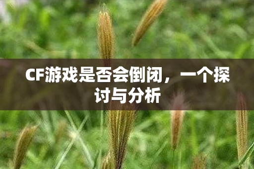 CF游戏是否会倒闭,一个探讨与分析 CF游戏是否会倒闭,一个探讨与分析