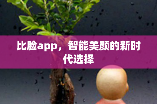 比脸app,智能美颜的新时代选择 比脸app,智能美颜的新时代选择