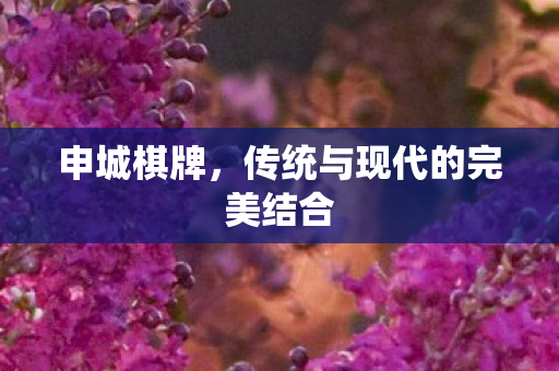 申城棋牌，传统与现代的完美结合