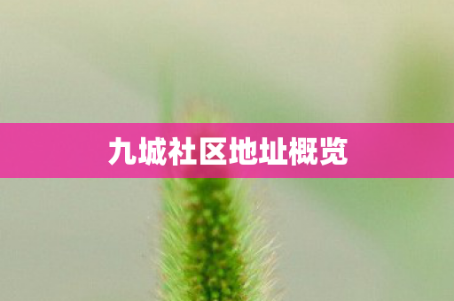 九城社区地址概览 九城社区地址概览
