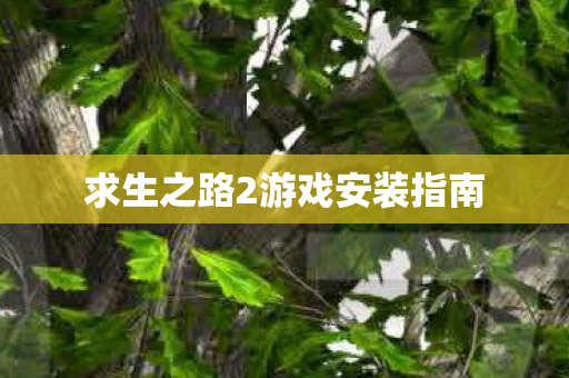 求生之路2游戏安装指南 求生之路2游戏安装指南