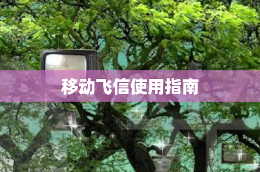 移动飞信使用指南 移动飞信使用指南