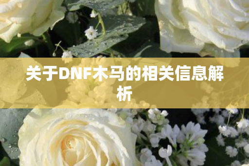 关于DNF木马的相关信息解析 关于DNF木马的相关信息解析