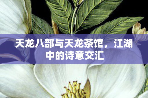 天龙八部与天龙茶馆，江湖中的诗意交汇