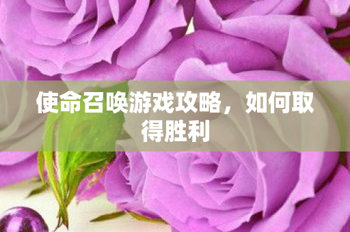 使命召唤游戏攻略,如何取得胜利 使命召唤游戏攻略,如何取得胜利