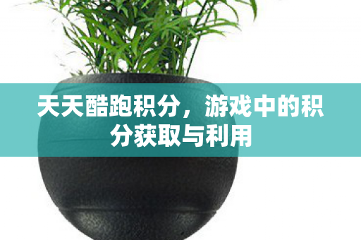 天天酷跑积分,游戏中的积分获取与利用 天天酷跑积分,游戏中的积分获取与利用
