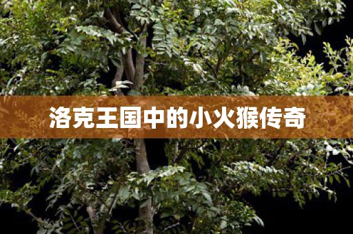洛克王国中的小火猴传奇 洛克王国中的小火猴传奇