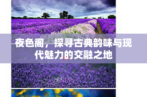 夜色阁,探寻古典韵味与现代魅力的交融之地 夜色阁,探寻古典韵味与现代魅力的交融之地