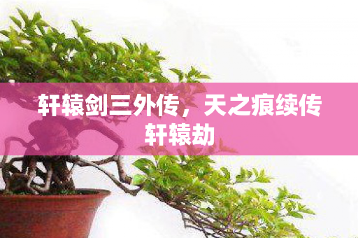 轩辕剑三外传,天之痕续传轩辕劫 轩辕剑三外传,天之痕续传轩辕劫