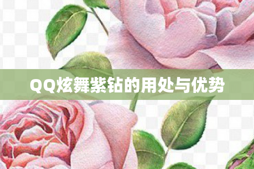 QQ炫舞紫钻的用处与优势 QQ炫舞紫钻的用处与优势
