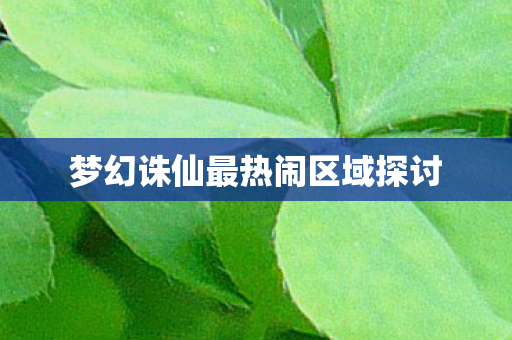 梦幻诛仙最热闹区域探讨 梦幻诛仙最热闹区域探讨