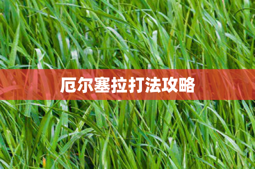 厄尔塞拉打法攻略
