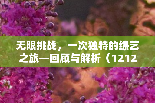 无限挑战,一次独特的综艺之旅—回顾与解析(121229) 无限挑战,一次独特的综艺之旅—回顾与解析(121229)