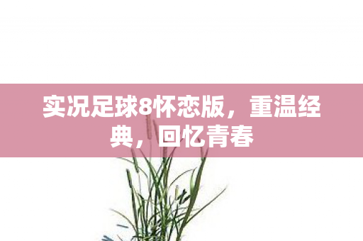 实况足球8怀恋版，重温经典，回忆青春
