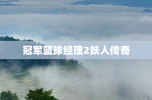 冠军篮球经理2妖人传奇 冠军篮球经理2妖人传奇