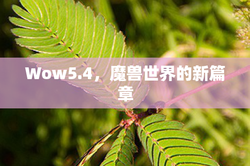 Wow5.4,魔兽世界的新篇章 Wow5.4,魔兽世界的新篇章