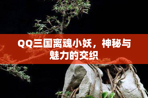 QQ三国离魂小妖,神秘与魅力的交织 QQ三国离魂小妖,神秘与魅力的交织