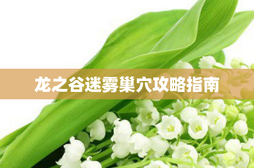 龙之谷迷雾巢穴攻略指南 龙之谷迷雾巢穴攻略指南