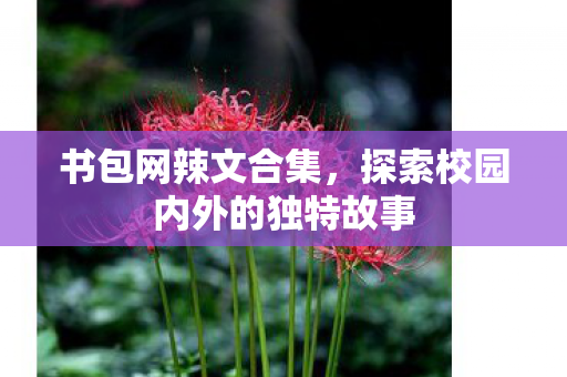 书包网辣文合集,探索校园内外的独特故事 书包网辣文合集,探索校园内外的独特故事