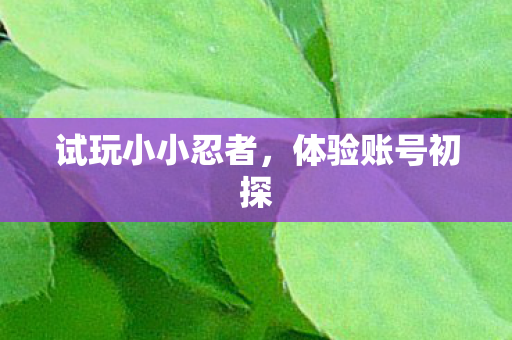 试玩小小忍者，体验账号初探