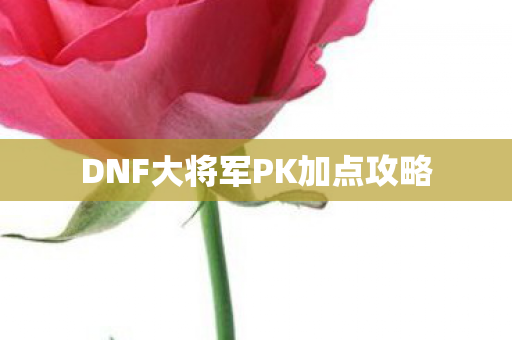 DNF大将军PK加点攻略 DNF大将军PK加点攻略