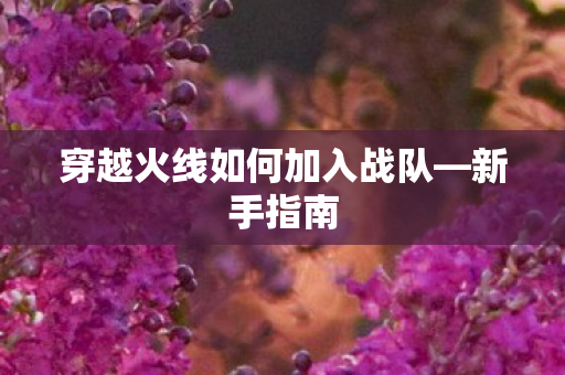 穿越火线如何加入战队—新手指南 穿越火线如何加入战队—新手指南
