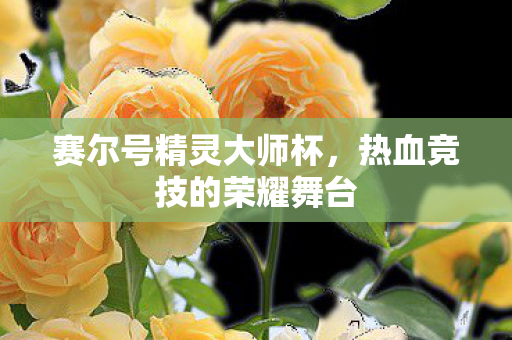 赛尔号精灵大师杯,热血竞技的荣耀舞台 赛尔号精灵大师杯,热血竞技的荣耀舞台