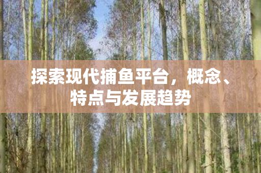 探索现代捕鱼平台,概念、特点与发展趋势 探索现代捕鱼平台,概念、特点与发展趋势