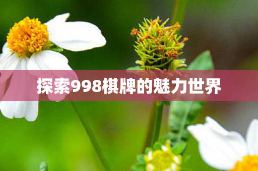 探索998棋牌的魅力世界