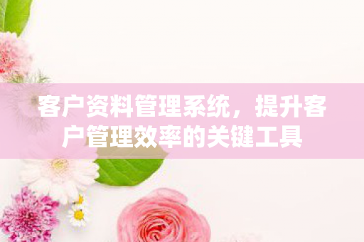 客户资料管理系统,提升客户管理效率的关键工具 客户资料管理系统,提升客户管理效率的关键工具