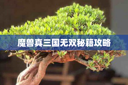 魔兽真三国无双秘籍攻略