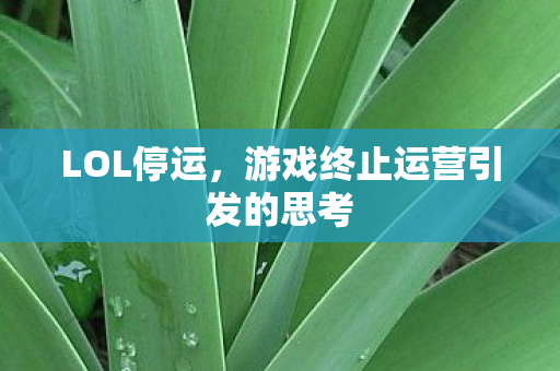 LOL停运,游戏终止运营引发的思考 LOL停运,游戏终止运营引发的思考