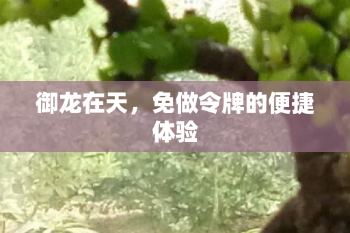 御龙在天,免做令牌的便捷体验 御龙在天,免做令牌的便捷体验