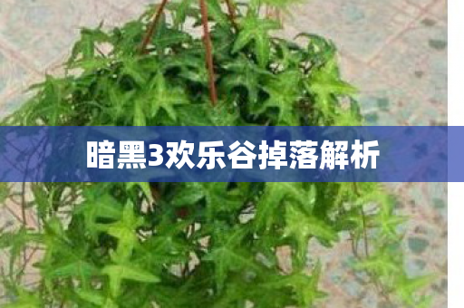 暗黑3欢乐谷掉落解析 暗黑3欢乐谷掉落解析