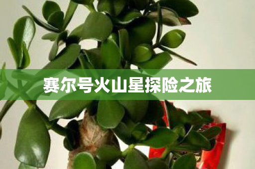 赛尔号火山星探险之旅