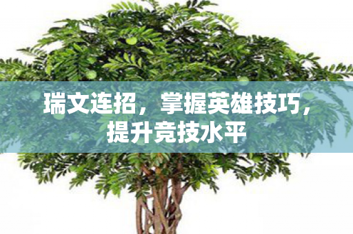 瑞文连招，掌握英雄技巧，提升竞技水平